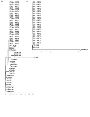 Multidrug-resistant Acinetobacter pittii is adapting to and exhibiting potential succession aboard the International Space Station.